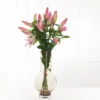 Lilien in Rosa 3