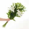 Lilien in Weiß 1