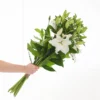 Lilien in Weiß 2