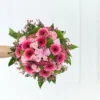 Pinkes Paradies 1