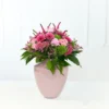 Pinkes Paradies 3
