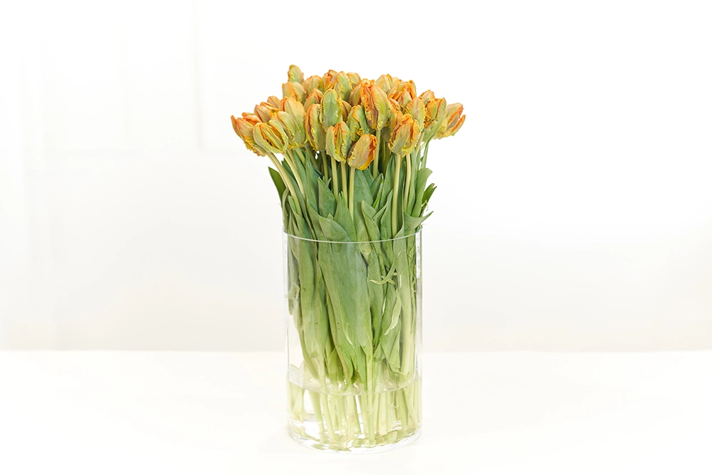 Vasenfüllung mit Tulpen in Orange