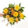 Sunny Joy 1