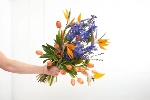 Tropenfrühling 2