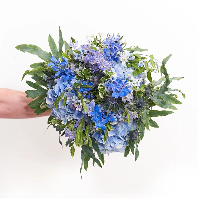 Blaue Blumen 1