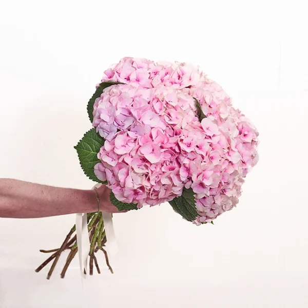 Hortensienstrauß Rosa 2