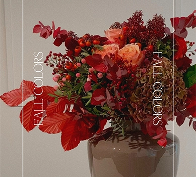 Service Saisonale Blumen